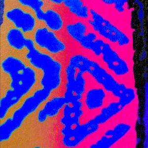 Meet your Posher, Van